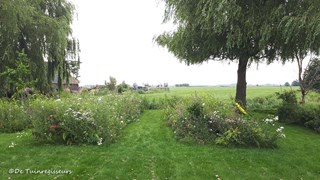 2 STROKEN MET WILDE BLOEMENMENGSEL OVERGANG NAAR OMRINGENDE LANDSCHAP ©De Tuinregisseurs