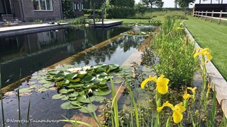 Natuurlijke zwemvijver met plantenfilter ©Noortjes Tuinontwerp